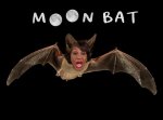 moonbat maxine waters 2.jpg