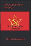 Psychopolitics in America.jpg