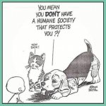 no humane society.jpg